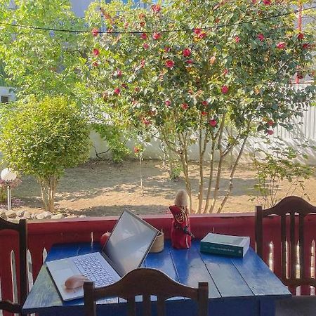 Cottage Коттеджи С Балконом 코불레티 외부 사진